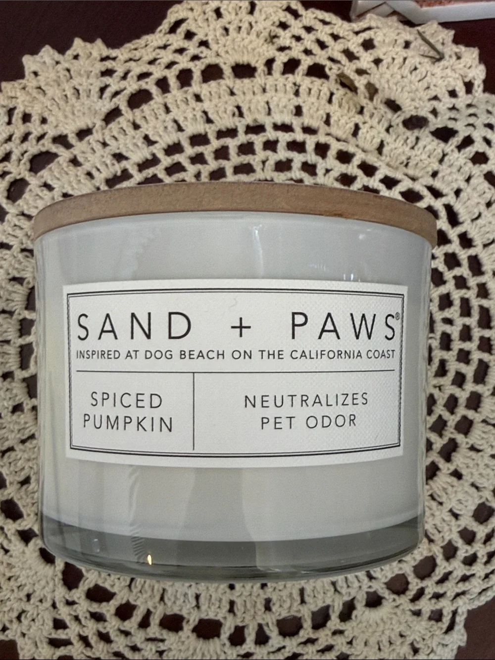 Spiced Pumpkin Pet Candle - White